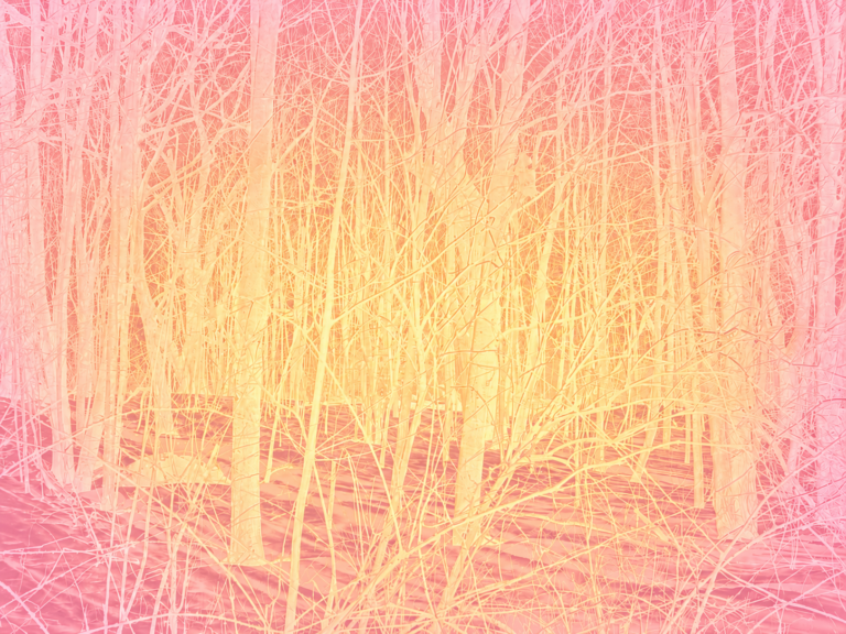 Posthuman Radio AI generated.